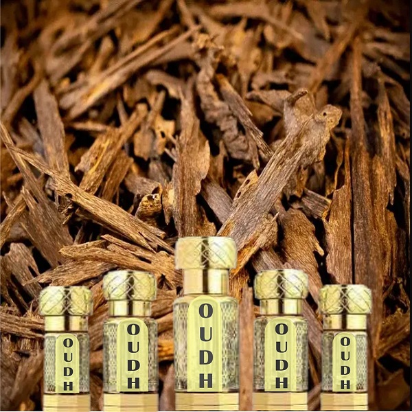 OUD Perfume